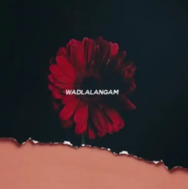 Flex Rabanyan - Wadlala Ngam’ (Xoli) ft. Bhuga Bhengu